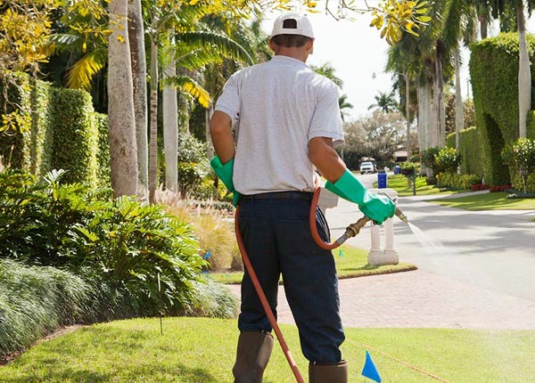 About Mount Vernon GA Pest Control Pros